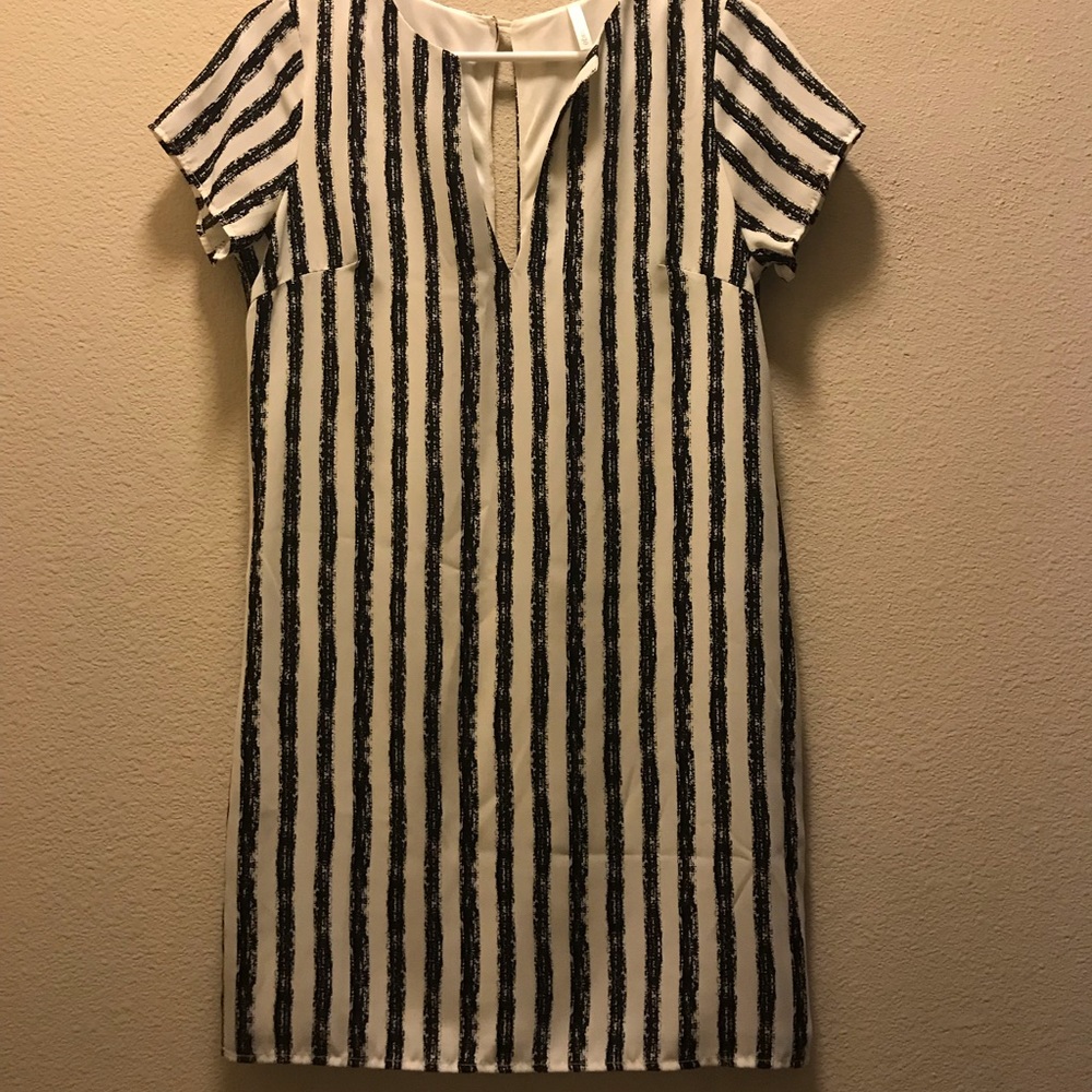 Short sleeve knee length sheath dress